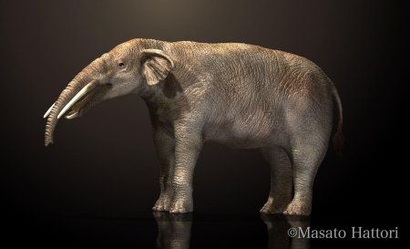 Мастодонт гомфостерий