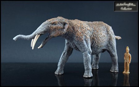 Гомфотерий Collecta