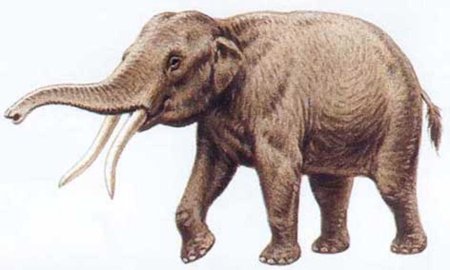 Мастодонт гомфотерий
