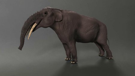 Мастодонт гомфотерий