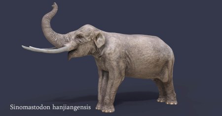 Мастодонт гомфотерий