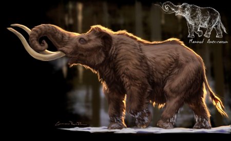 Мастодонт гомфотерий