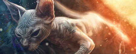 Фэнтези кошки