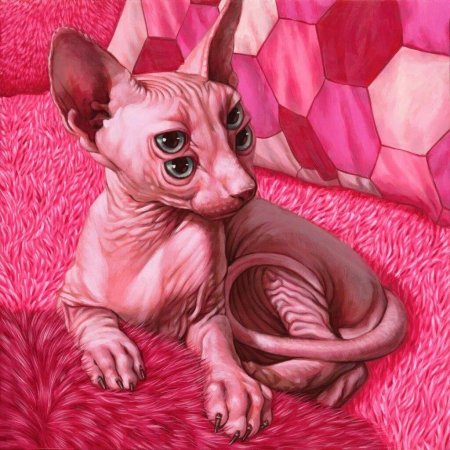 Casey Weldon кошки
