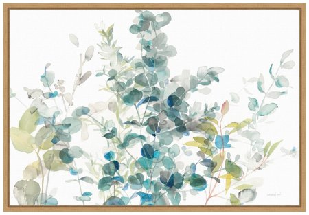 Эвкалипт акварель