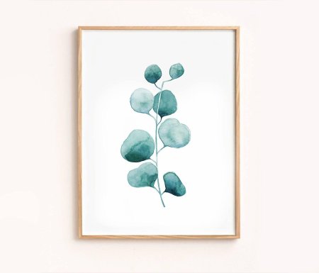 Эвкалипт акварель