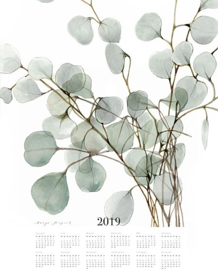 Эвкалипт Бенджамина