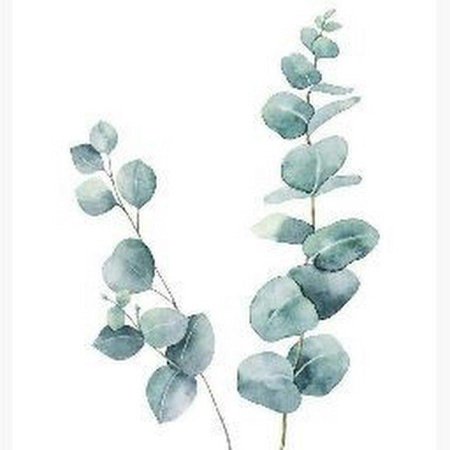 Акварельные веточки