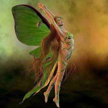 Миснэ Лесная Фея