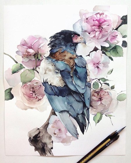 Наталья Каданцева акварель птицы