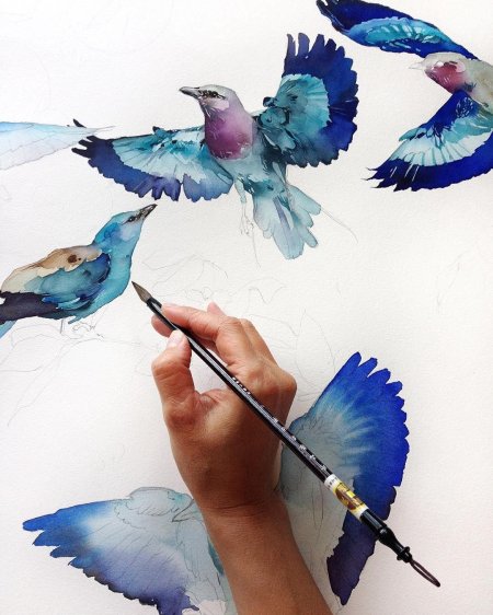 Наталья Каданцева акварель птицы