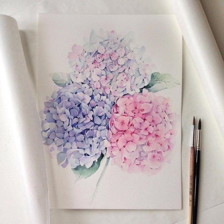 Художник Наталья Каданцева