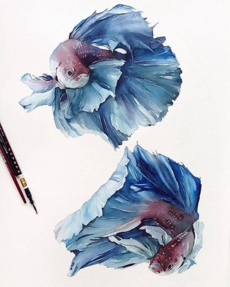 Наталья Каданцева акварель