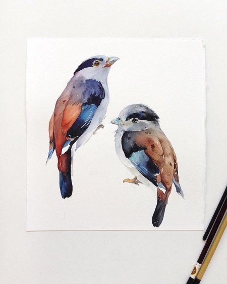 Наталья Каданцева акварель птицы