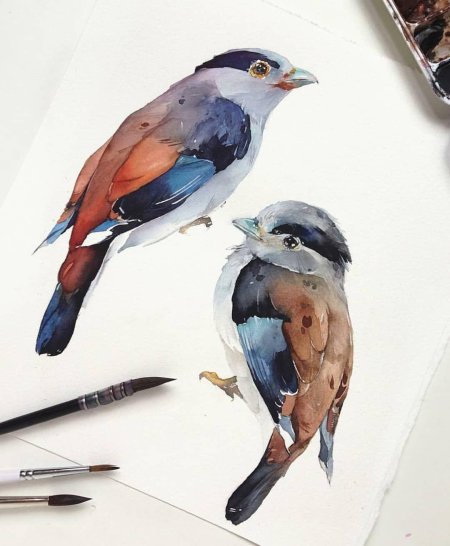 Акварель Наталия Каданцева