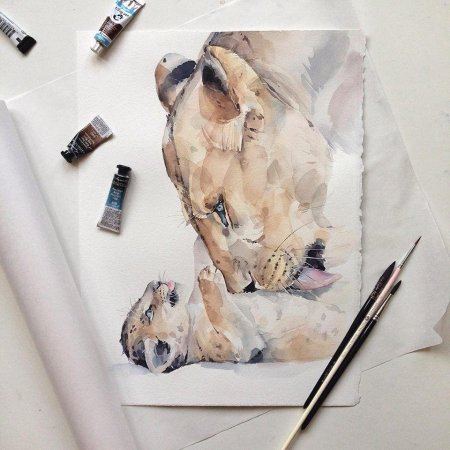 Наталья Каданцева акварель львы