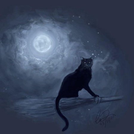 Гобболино – Ведьмин кот