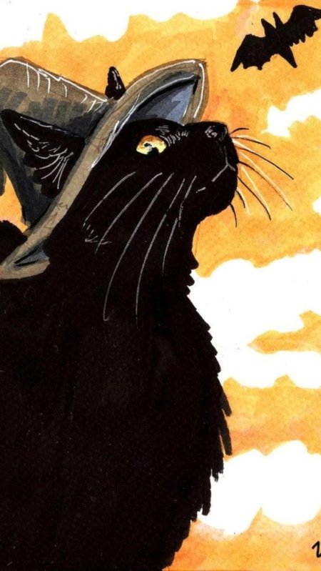 Чёрный кот арт