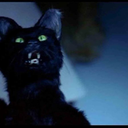 Салем Сабрина маленькая ведьма