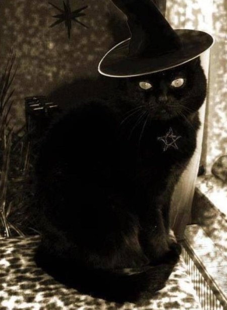 Гобболино – Ведьмин кот