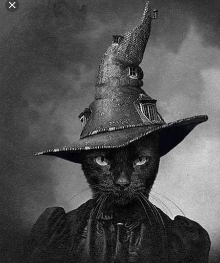 Котик ведьма