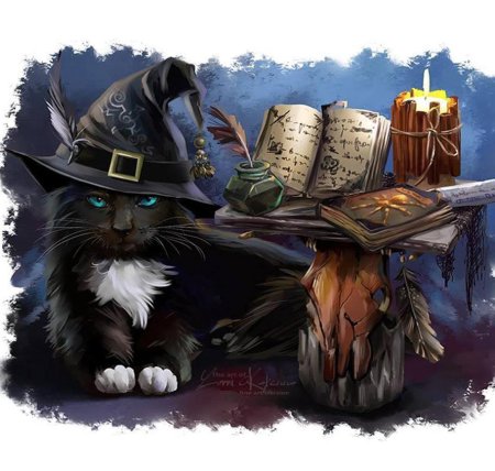 Волшебный кот