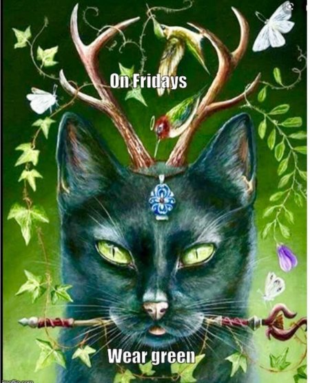 Фамильяр ведьмы черный кот