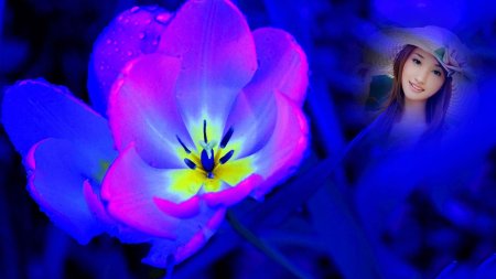 Тюльпаны неон