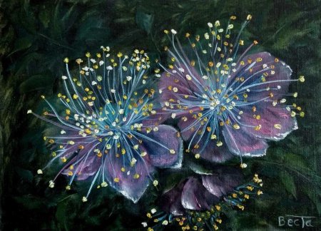 Космические цветы