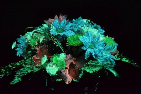 Светящиеся цветы