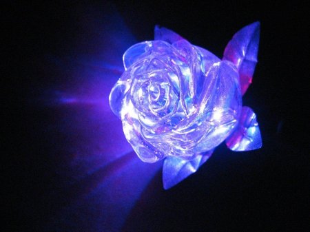 Светящиеся цветы
