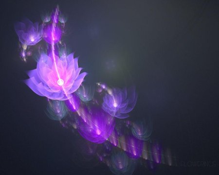 Магические цветы