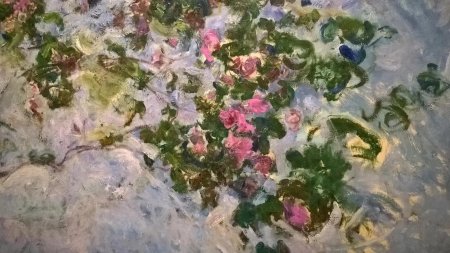 Роза Клод Моне