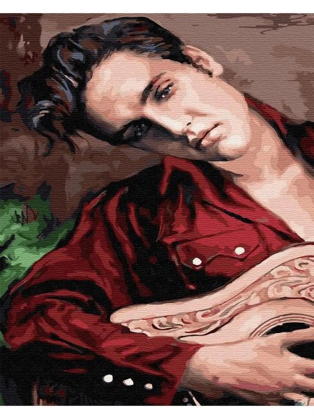 Элвис Пресли картина по номерам