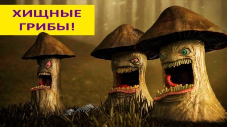 Гриб монстр