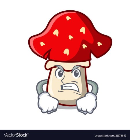 Злой мухомор