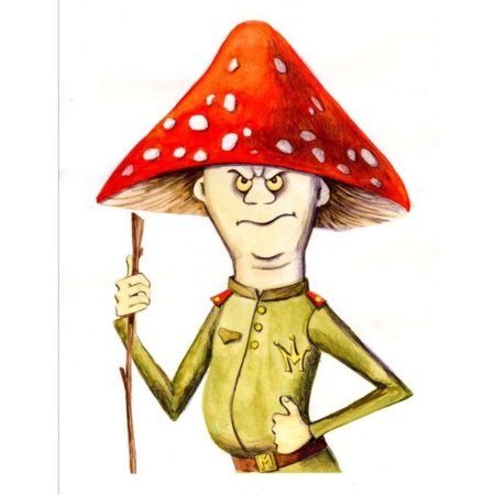 Поганка Мухоморовна