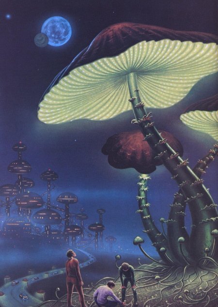 Аманита Мускария психоделика