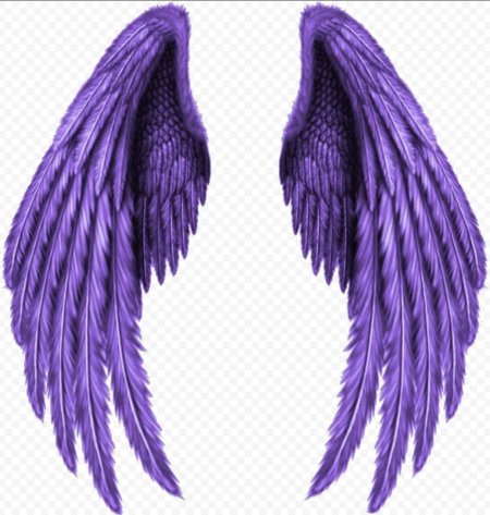 Сиреневые Крылья