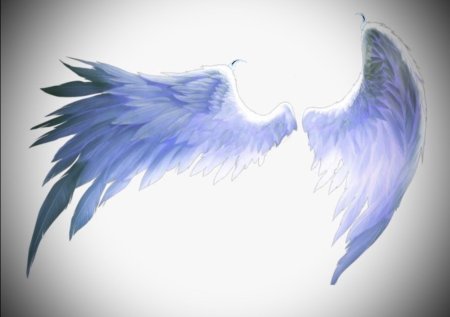 Красивые Крылья