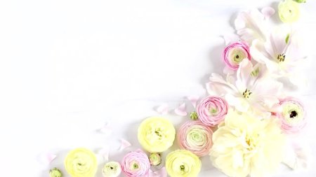 Светлый фон