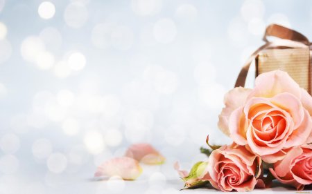 Красивый фон для открытки