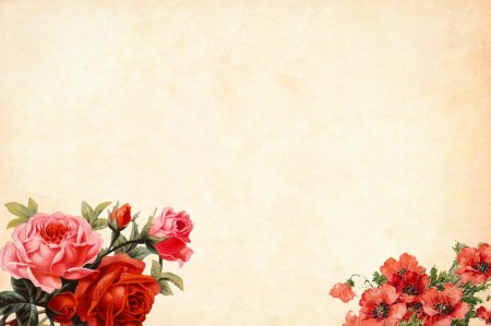 Фон для открытки