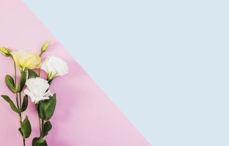 Красивый фон для открытки