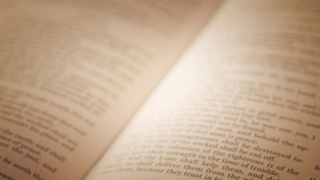 Литературный фон