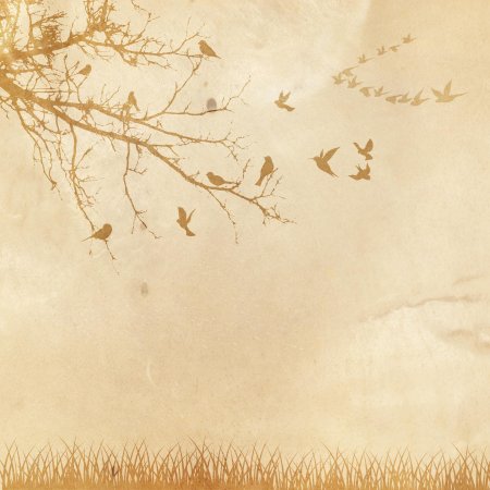 Бежевый фон