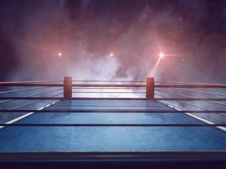 Боксерская Арена