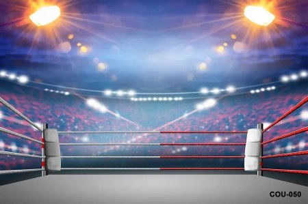 Боксерский ринг