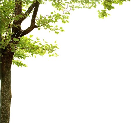 Дерево для вставки