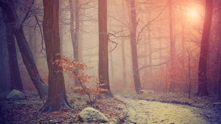 Атмосферный фон